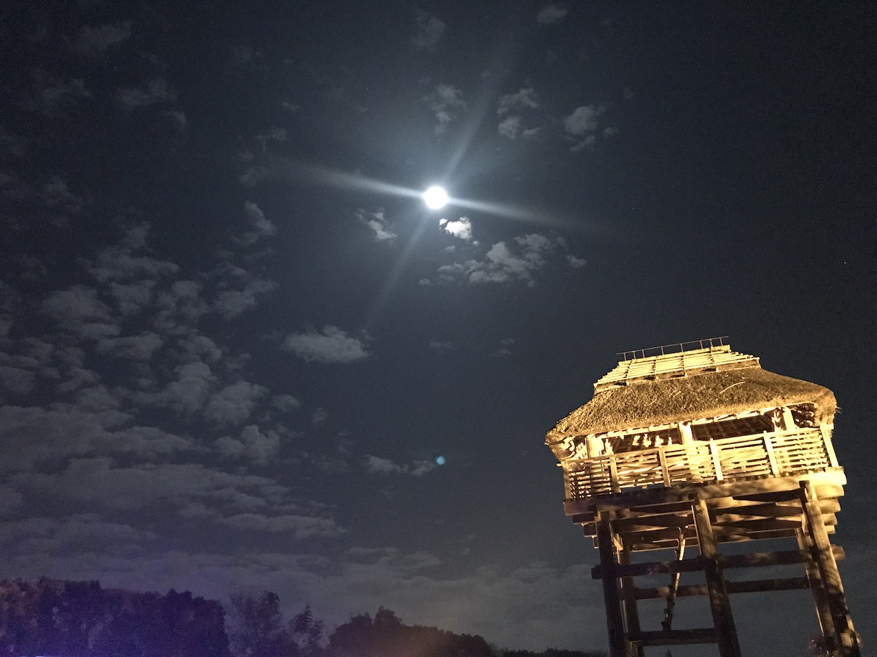 最初に書いたブログ